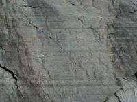 naquane roccia 50 oranti particolare