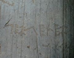 naquane roccia 50 iscrizione